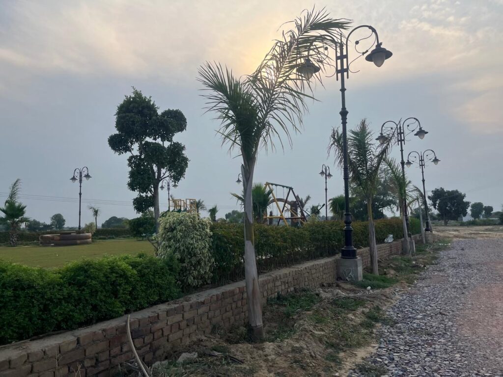 WhatsApp Image 2025-11-13 at 1.02.27 PM