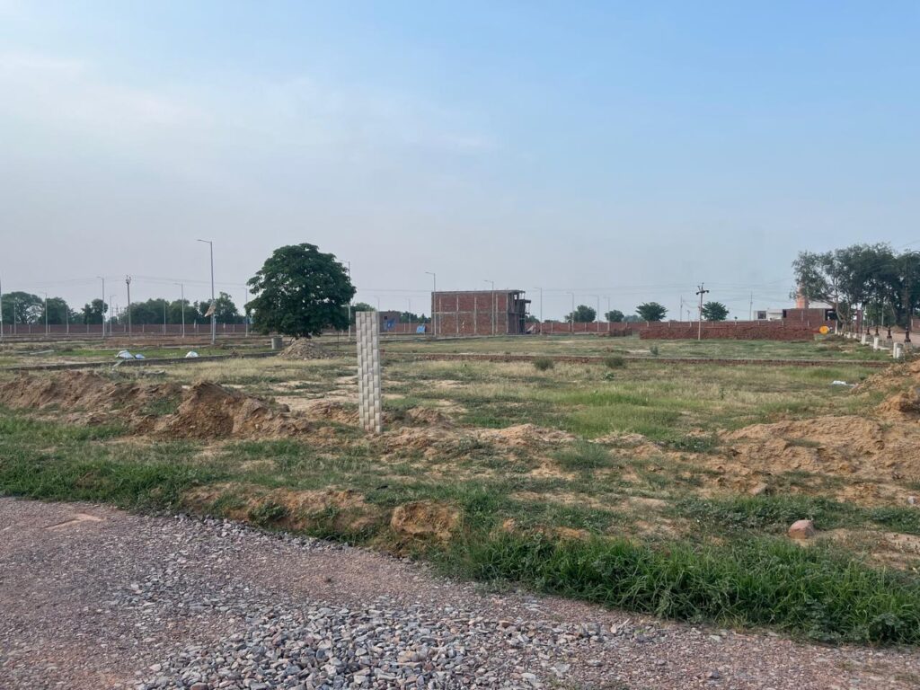 WhatsApp Image 2025-11-13 at 1.02.29 PM